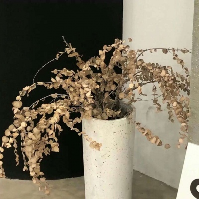 喀喇沁旗FurryQQ群介绍